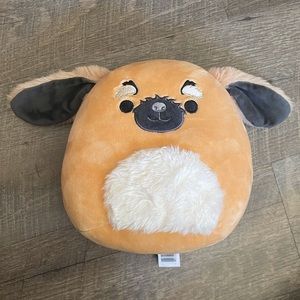 Bobzi squishmallow